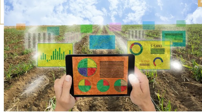 馬云說(shuō)“致富未來(lái)在農(nóng)村”,那么農(nóng)村未來(lái)的致富人群是哪類(lèi)人？