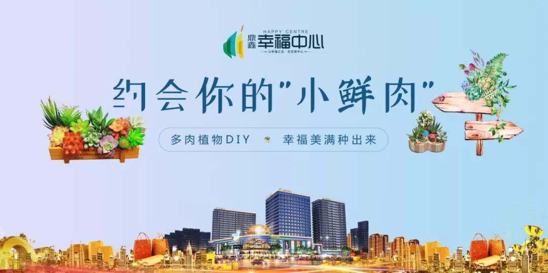 約會你的“小鮮肉” 多肉植物DIY，幸福美滿種出來