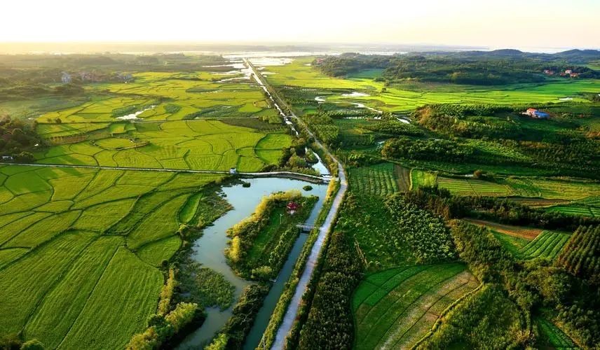 鄉(xiāng)村振興背景下，有機農(nóng)業(yè)3.0時代的思考