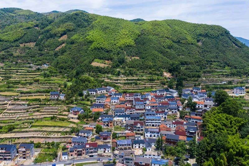 老鄉(xiāng)！別錯(cuò)過(guò)今年這些惠農(nóng)好政策