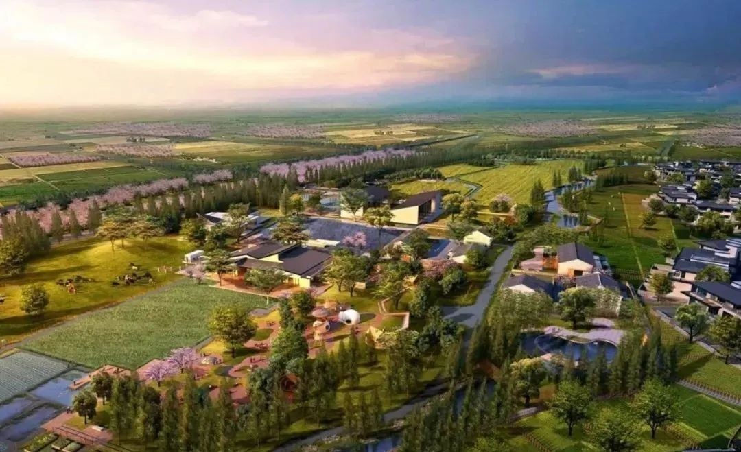 全文！鄉(xiāng)村建設(shè)行動(dòng)實(shí)施方案