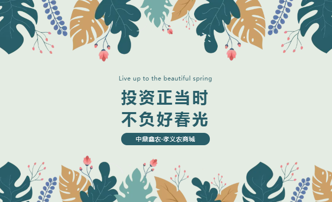 孝義唯一大產(chǎn)權的農批商鋪，投資有保障！